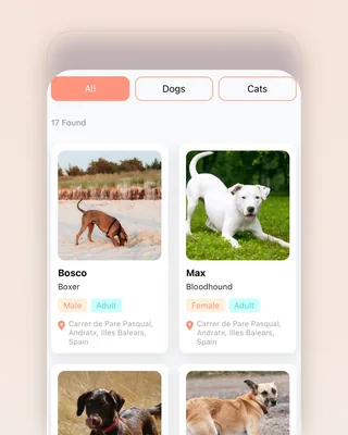 The adoption grid on a phone: a search field, All / Dogs / Cats chips, then cards for Bosco (Boxer, male, adult), Max (Bloodhound, female, adult), Funny (English Sheepdog) and Kira (Mixed Breed), each with a shelter address