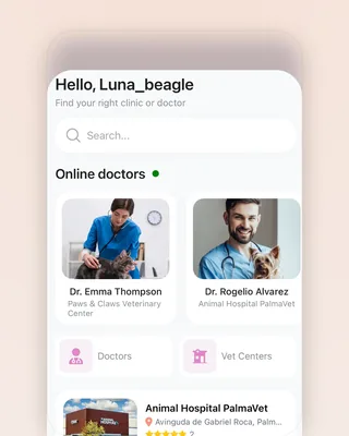 Health Care on a phone: "Hello, Luna_beagle — Find your right clinic or doctor", a search field, Online doctors with a green dot — Dr. Emma Thompson of Paws & Claws Veterinary Center and Dr. Rogelio Alvarez of Animal Hospital PalmaVet — Doctors and Vet Centers shortcuts, and a clinic card with a five-star rating and a See Center button