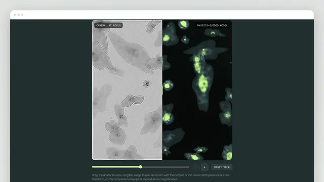 The reconstruction tool’s compare viewer: a wipe slider between a grey "CAMERA, AT FOCUS" brightfield panel and a dark "PHYSICS-GUIDED MODEL" panel glowing yellow-green over the same field of cells, with a zoom slider and Reset view button below