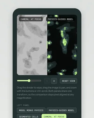 The compare viewer on a phone: a wipe between a grey "CAMERA, AT FOCUS" panel and a dark "PHYSICS-GUIDED MODEL" panel over the same cells, a zoom slider with − and + buttons, a RESET VIEW button, the note "Drag the divider to wipe, drag the image to pan…", and the first LEFT PANEL layer-toggle chips below