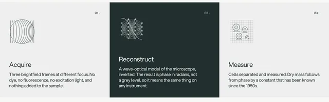 The site’s three-step pipeline diagram: "01. Acquire" with a circle-of-lines icon and "Three brightfield frames at different focus. No dye, no fluorescence, no excitation light, and nothing added to the sample."; "02. Reconstruct" on a dark card with a neural-net icon and "A wave-optical model of the microscope, inverted. The result is phase in radians, not a grey level, so it means the same thing on any instrument."; "03. Measure" with a grid-of-circles icon and "Cells separated and measured. Dry mass follows from phase by a constant that has been known since the 1950s."
